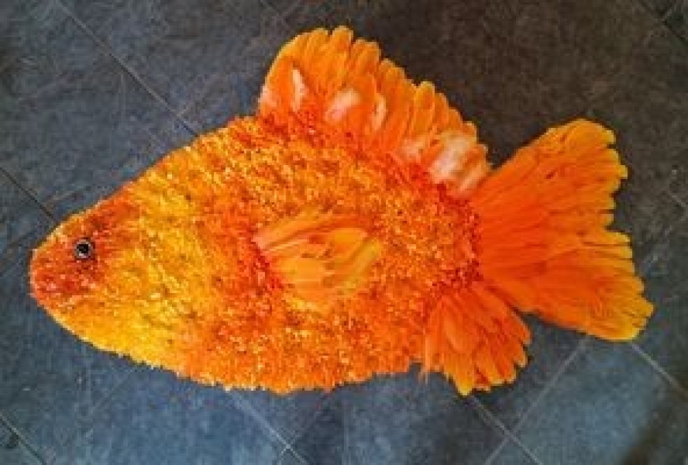 gold fish funeral tribute