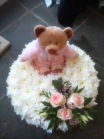 Teddy Bear (14inches)