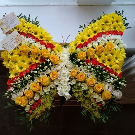 Yellow ,white and Red Butterfly